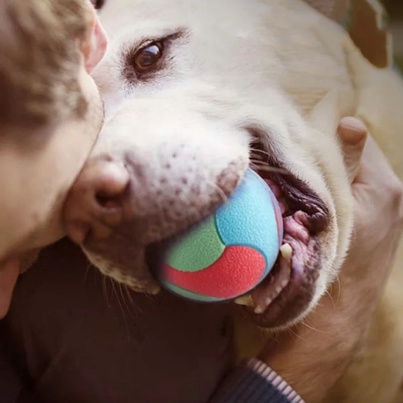 Boll - Tuggleksak Hund