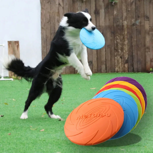 Frisbee för hundar