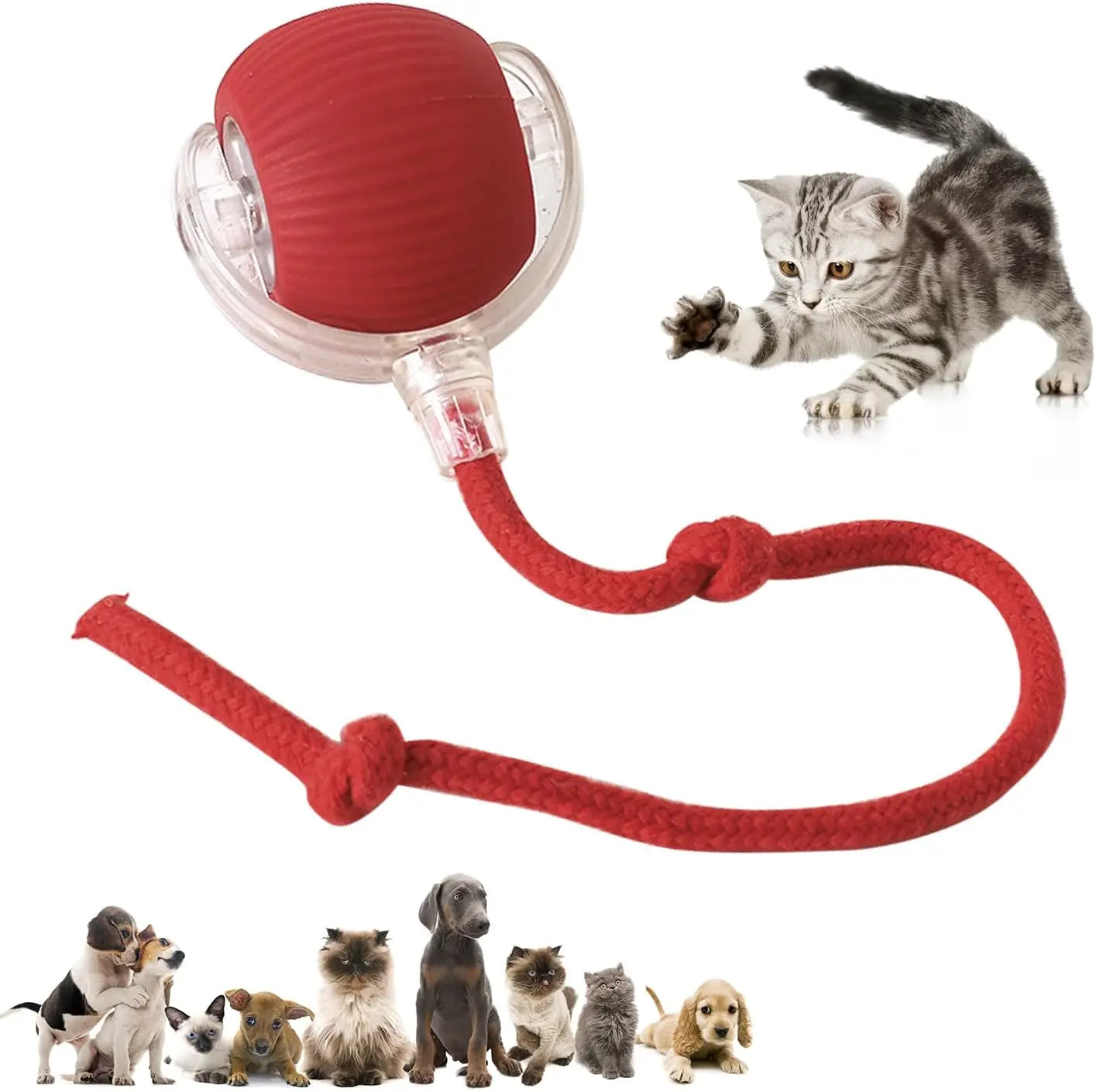 Automatisk Boll - Kattleksak