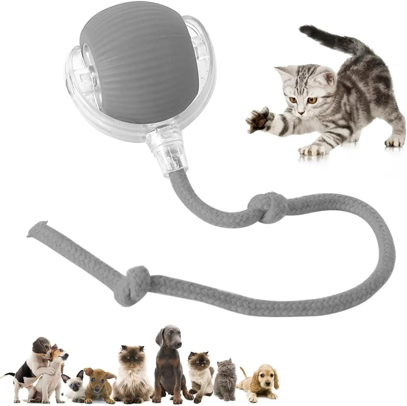 Automatisk Boll - Kattleksak