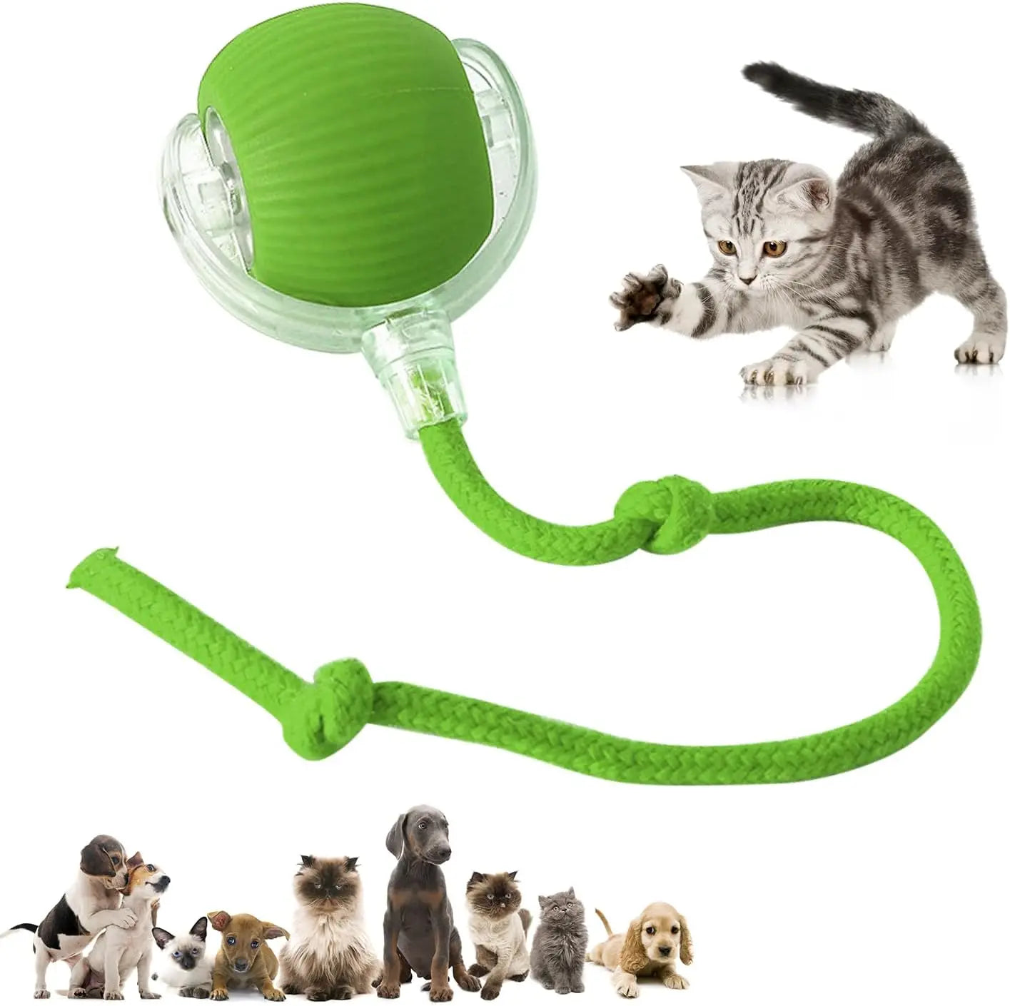 Automatisk Boll - Kattleksak