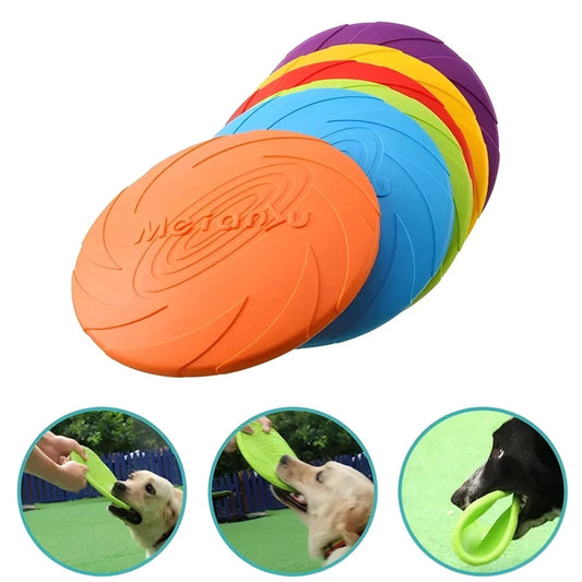 Frisbee för hundar